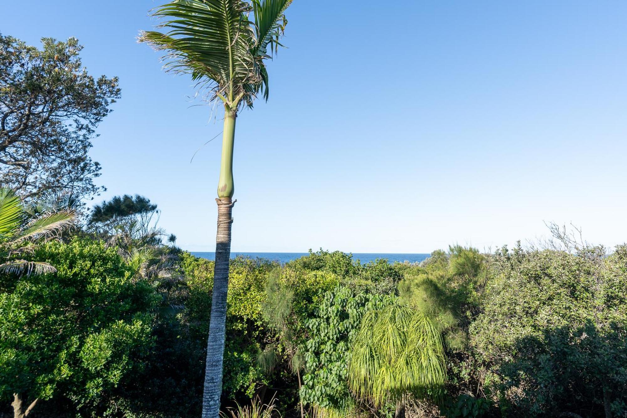 Glen Eden Beach Resort Peregian Beach Dış mekan fotoğraf